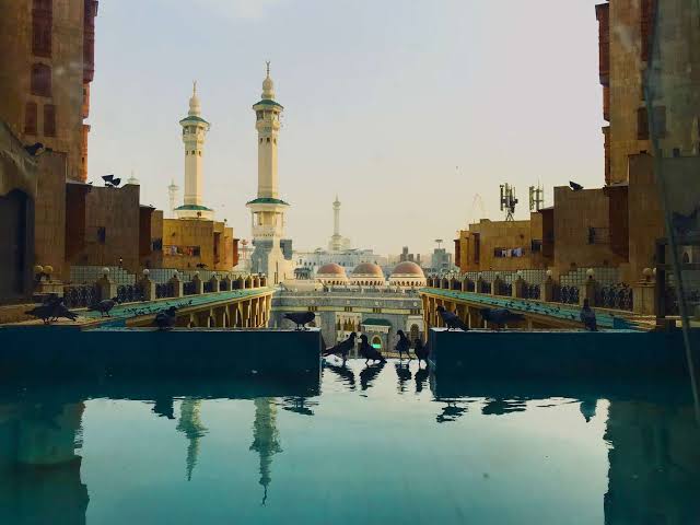 images (1)